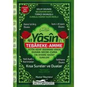 41 Yasin Tebareke Amme - Hatice Sağlam