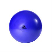 Adidas ADBL-13247PL Gymball 75 cm Mor Pilates Topu