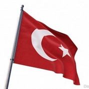 Alpaka 100x150 Türk Bayrağı