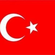 Alpaka 20x30 Sallama Türk Bayrağı