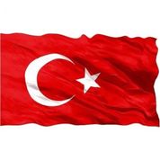 Alpaka 30x45 Türk Bayrağı