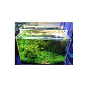 Aqualed 6500K 928002 Led Beyaz 50 cm Aydınlatma Armatür
