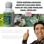 Bağ Bahçe Üzüm Külleme İlaç Nedir? Nasıl Kullanılır?