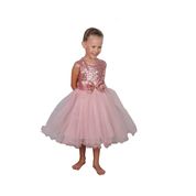 Butikhappykids Gül Kurusu Kız Çocuk Payetli Abiye Elbise