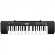 Casio CTK 245 Org