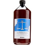 Davines Rebalancing Sebum Dengeleyici 1000 ml Şampuan