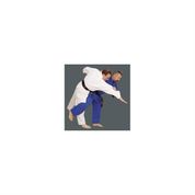 Do-Smai JA-050 Normal Judo ve Aikido Elbisesi