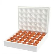 Ecovital 30'lu Organik Yumurta