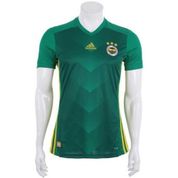 Fenerbahçe 2017 Üçüncü Yeşil Forma