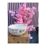 Hachiko Pet Seramik Kedi ve Köpek Mama Kabı