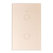 iplusmile Kablosuz Uzaktan Duvar Anahtarı Hassas LED Işık Dokunmatik Ekran Anahtarı Alexa Google APP ile Uyumlu (1/2/3 Gang AC110~250V Altın, İki Anahtar Tasarımı)