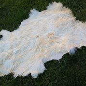 KEÇİ DERİSİ,NATUREL TİFTİK POSTU,SIFIR ANGORA 120 X 90 OTURMA ODASINA,ARABA KOLTUĞUNA,SECCADE-ŞÖMİNE