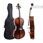 Manuel Raymond MC12GEM Viyolonsel