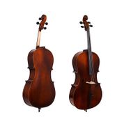 Manuel Raymond MC34GEM Mat Viyolonsel