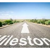 MILESTONE 175/65R14 82T BLASTER YAZLIK LASTİK 2019 ÜRETİM 1756514
