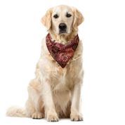 Orange Venue Çiçeğe Benzer Geleneksel Şekiller Tekrarlı Kare Nar Çiçeği Yeşil Yakut 40x40 cm Köpek Bandana