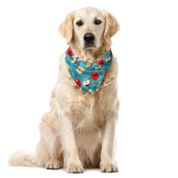 Orange Venue Yeşil Yapraklar ve Perspektif Meyve Dilimleri Kare Krem Mavi Yakut 40x40 cm Köpek Bandana