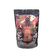 Orion Nutrition 1000 gr Platinium Series Mass Gainer