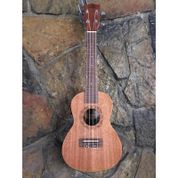 Puka UK-24T EQ Profesyonel Elektro Ukulele