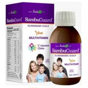 Sambuguard 120 ml Kara Mürver Ekstresi Vitamin Şurub