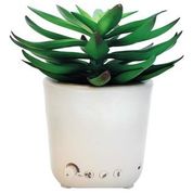 Sleep Plant Doğa Sesleri Ses Makinesi