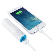 TP-Link TL-PB2600 2600 mAh 1A Tek USB Çıkışlı Taşınabilir Şarj Cihazıı