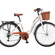 Ümit Alanya 21 Vites 28 Jant V-Fren Kadın Şehir/Gezi Bisikleti