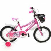 Ümit Alpina 2018 Model 16 Jant Unisex Çocuk Bisikleti