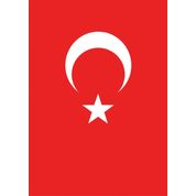 Vatan 150 x 225 cm Bayrak