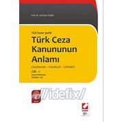 Yeni Türk Ceza Kanununun Anlamı TCK İzmir Şerhi Açıklamalı - Gerekçeli - İçtihatlı Cilt 2 (Cilt Seçk