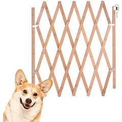 Kopek Citi Fiyat Ve Modelleri