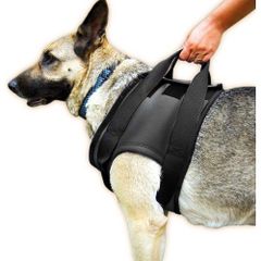 Julius K9 On S 42x61cm Rehabilitasyon Kopek Tasmasi Fiyatlari Julius K9 On S 42x61cm Rehabilitasyon Kopek Tasmasi Fiyatlari