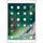 Apple iPad Pro 10.5 64 GB Wi-Fi MQDY2TU/A Roze Gold