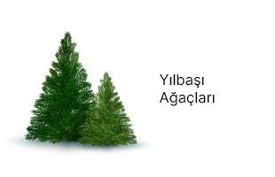 Yılbaşı Ağacı