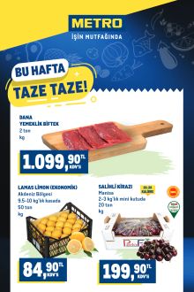 Metro - Taze Ürünler Kataloğu