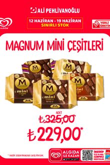 Ali Pehlivanoğlu Aktüel Ürünler