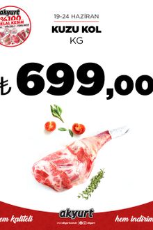Akyurt Market İndirim Kataloğu