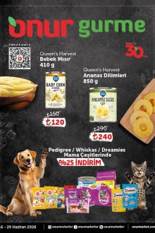 Onur Market İndirim Broşürü