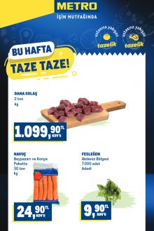 Metro - Taze Ürünler Kataloğu