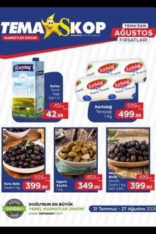 Tema Market İndirim Kataloğu