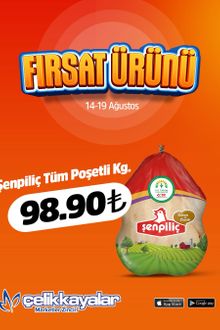 Çelikkayalar İndirim Kataloğu