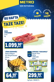 Metro - Taze Ürünler Kataloğu