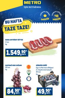 Metro - Taze Ürünler Kataloğu