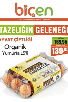 Biçen Market İndirim Kataloğu