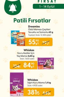 File Market İndirim Broşürü