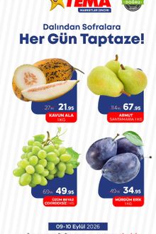 Tema Market İndirin Kataloğu