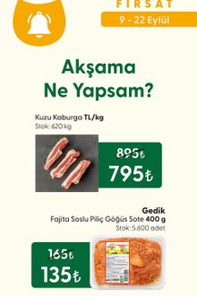 File Market İndirim Broşürü