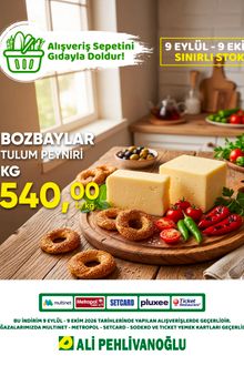Alipehlivanoğlu İndirim Broşürü