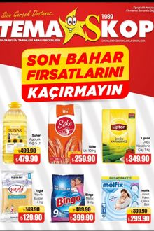 Tema Market İndirin Kataloğu