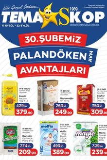 Tema Market İndirin Kataloğu